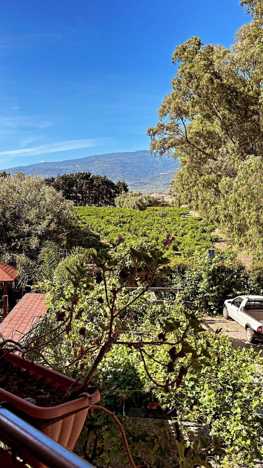 B&B Pineta Mare Ламеция Терме Екстериор снимка